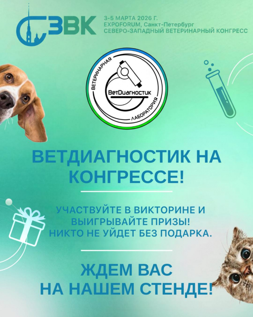 СЗВК 2026.jpg СЗВК 2026.jpg